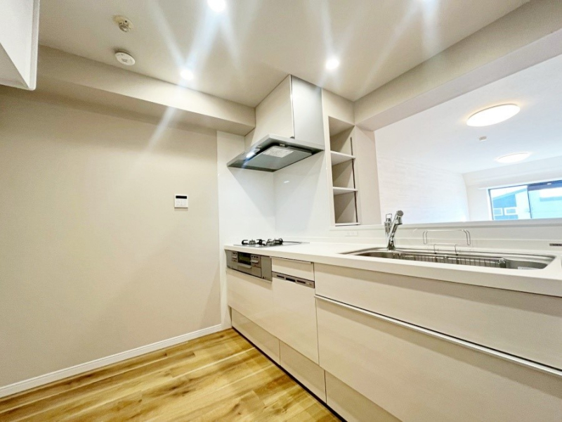 �L�b�`���@��Ƃ肠��L�b�`���X�y�[�X�ł�������H��̌�Еt�����X���[�Y�ɁI