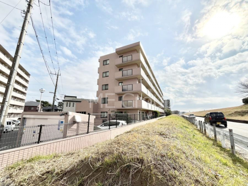 ���n�O�ώʐ^�@����z���ł��Ƒ��̏Ί���P�� 