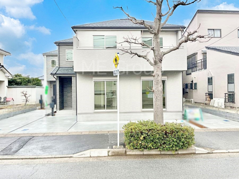 ���n�O�ώʐ^�@����z���ł��Ƒ��̏Ί���P��  