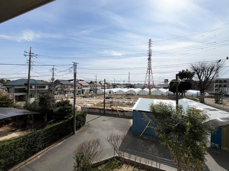 ���̑��@�o���R�j�[����̒��]�ł��B�S�n�悢����������ꂻ���ł��ˁI