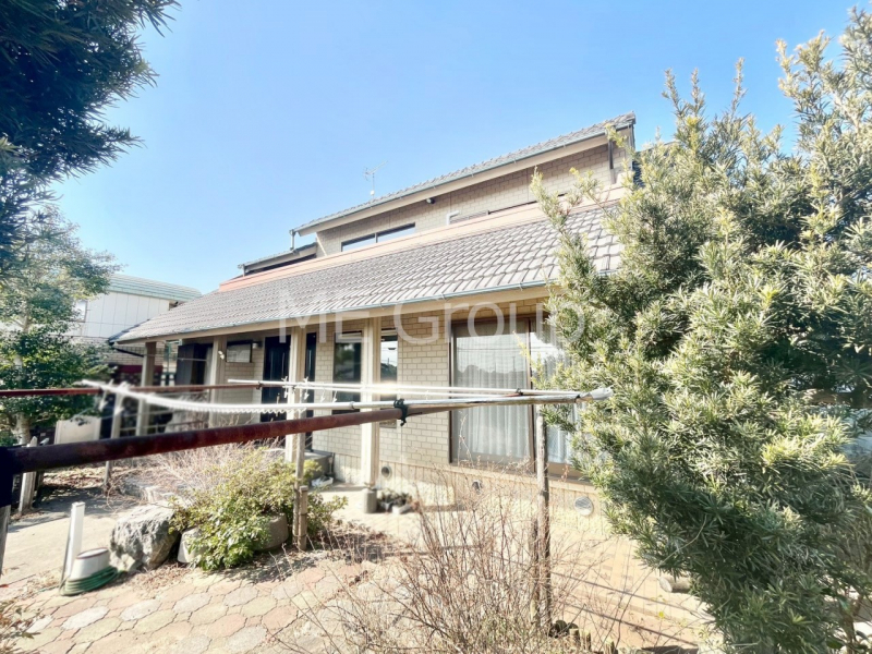 ���n�O�ώʐ^�@����z���ł��Ƒ��̏Ί���P��