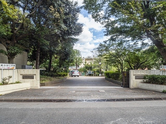 ���ӊ��@���w�Z 1000m ��t�s���s�ꒆ�w�Z