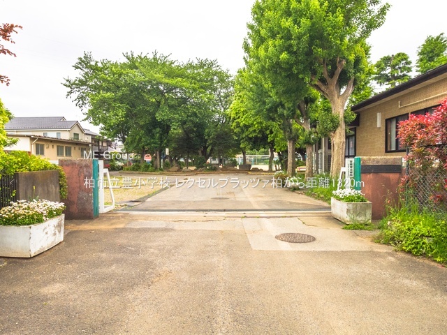 ���ӊ��@���w�Z 1320m ���s���L���w�Z