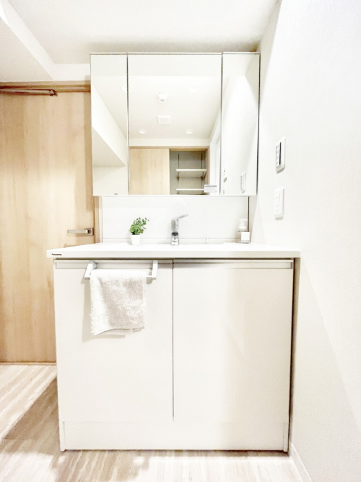 ���ʑ�E���ʏ��@�X�^�C�����O�ɕ֗��ȎO�ʋ��A�~���[�L���r�l�b�g�ōׂ������X�b�L��