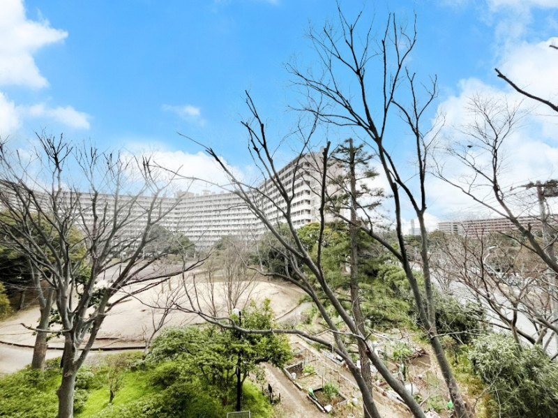 ���̑��@�S�n�悢����������ꂻ���Ȓ��]�ł�