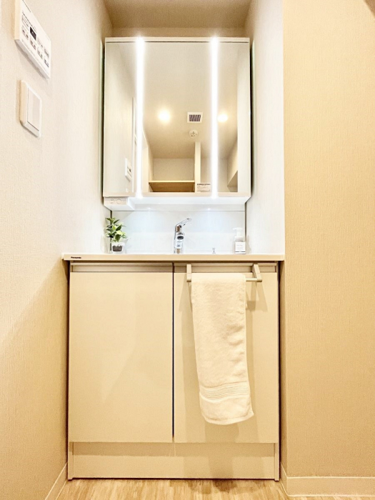 ���ʑ�E���ʏ��@�X�^�C�����O�ɕ֗��ȎO�ʋ��A�~���[�L���r�l�b�g�ōׂ������X�b�L��