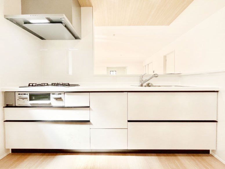 �L�b�`���@�V�X�e���L�b�`���̓V���v���ŃX�b�L�������O���̗��Ȃ��f�U�C���Ȃ̂ŉi���g�������I