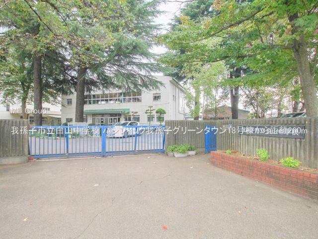 ���ӊ��@���w�Z 260m �䑷�q�s�����R���w�Z