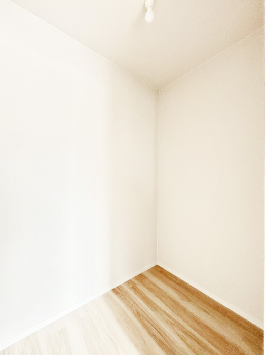 ���̑��@�G�߂̈ߗނ��X�b�L�����[�I��e�ʂ̎��[�͂����͓I��WIC�t���ł��B