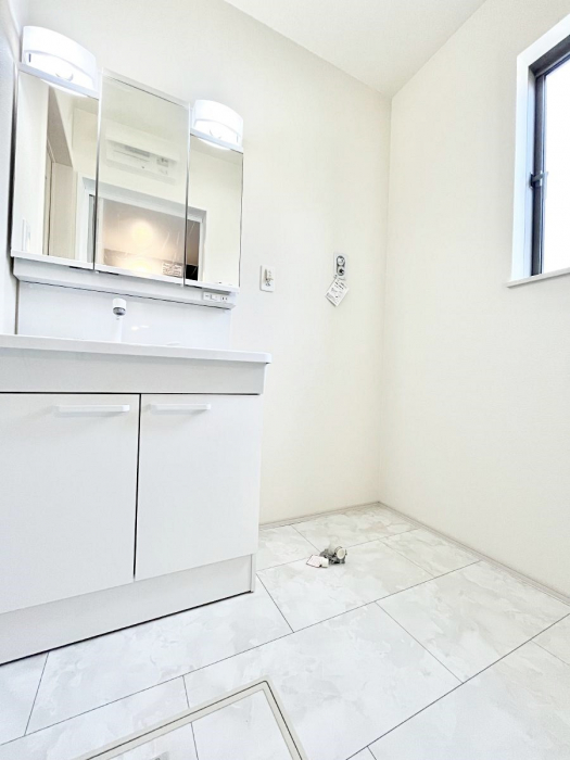 ���̑��@�_�炩�Ȓ��̌����������鑋���������ʎ�