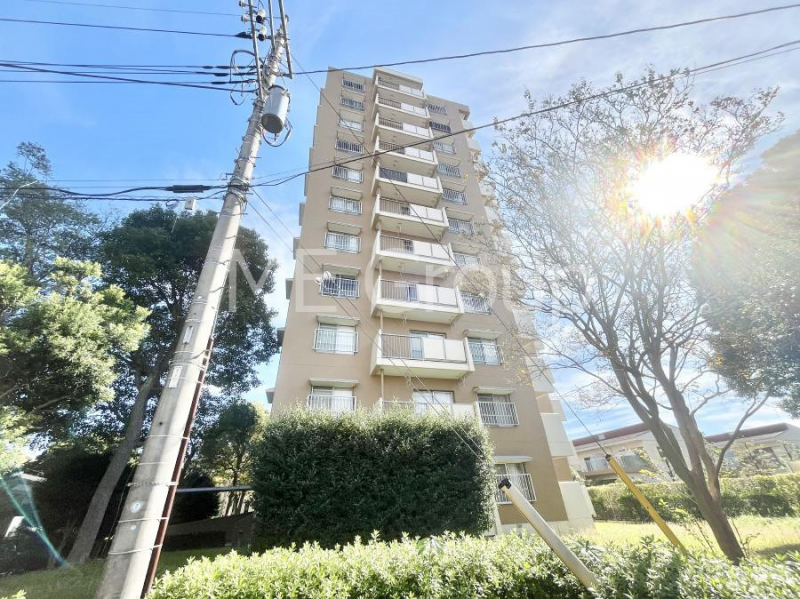 ���n�O�ώʐ^�@����z���ł��Ƒ��̏Ί���P�� 