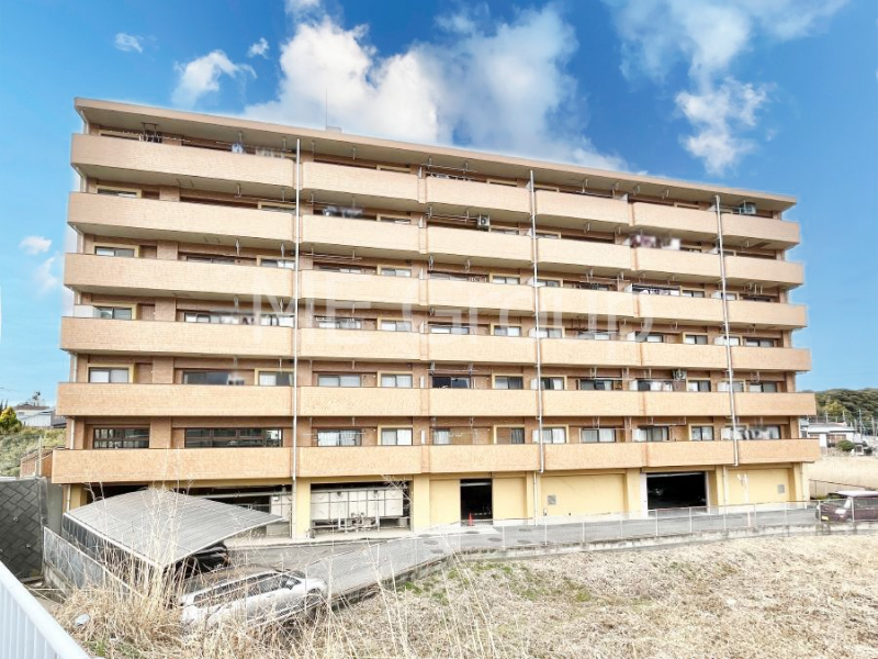 ���n�O�ώʐ^�@����z���ł��Ƒ��̏Ί���P��   