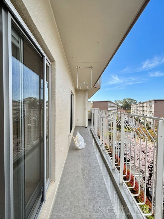 �o���R�j�[�@�S�n�悢���������Ȃ��炨���󕨂����������ł�