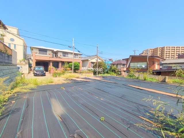 ���n�y�n�ʐ^�@-