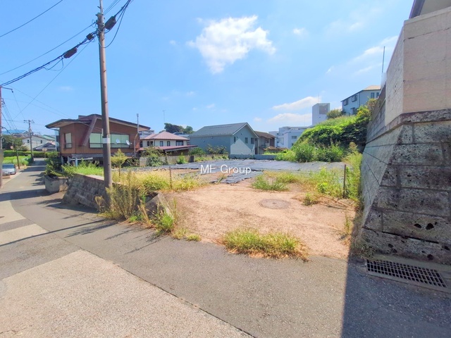 ���n�y�n�ʐ^�@-