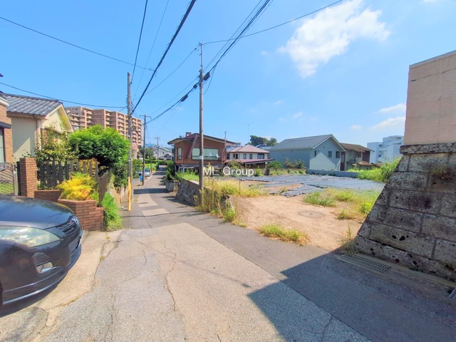 ���n�y�n�ʐ^�@-