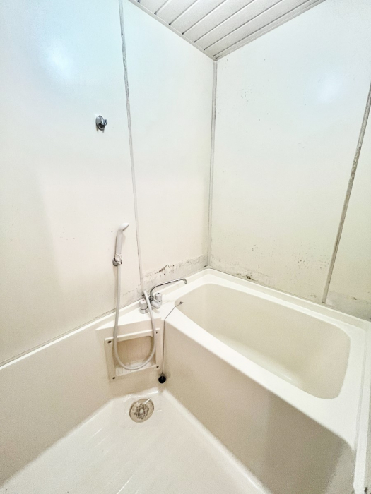 �����@����̔�������Ă���閾�邢�������̂���o�X���[��