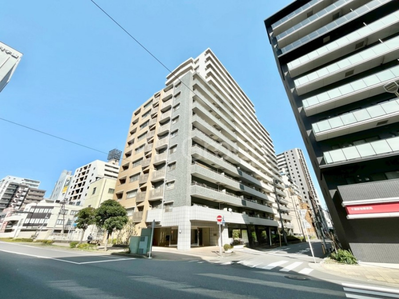 ���n�O�ώʐ^�@��������n�܂�V�����������������܂�