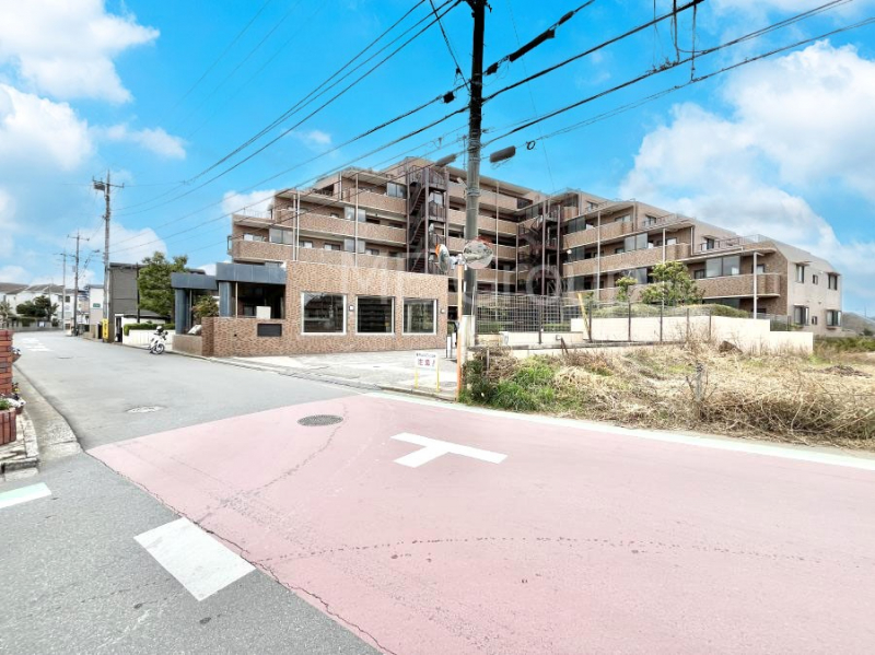 ���n�O�ώʐ^�@��������n�܂�V�����������������܂�