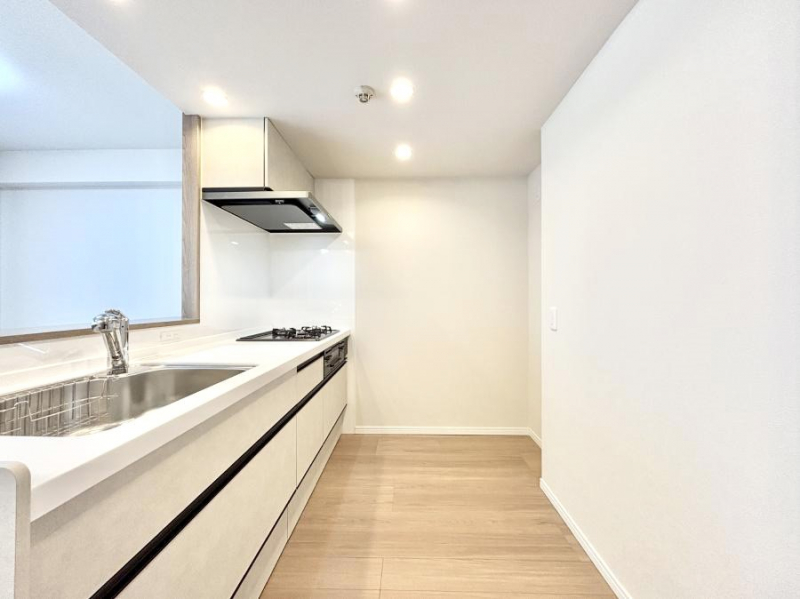 �L�b�`���@��Ƃ肠��L�b�`���X�y�[�X�ł�������H��̌�Еt�����X���[�Y�ɁI