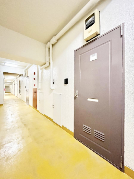 ���ց@�����C�����ǂ��Ƒ��₨�q�l�����o�}��