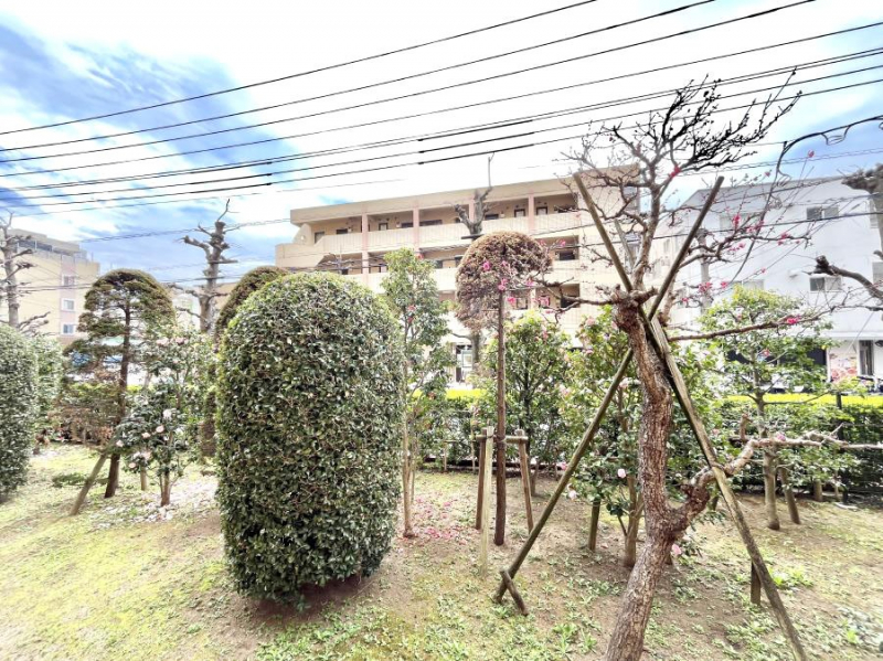 ���̑��@���Z�܂�����̒��]�ł��I  