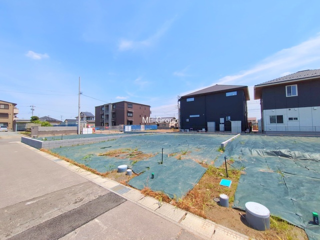 ���n�y�n�ʐ^�@-