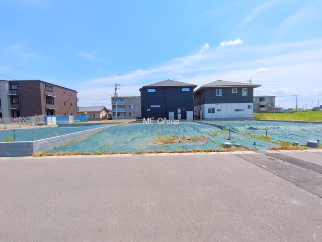 ���n�y�n�ʐ^�@-