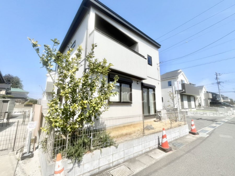 ���n�O�ώʐ^�@��Ƃ肪�Ί�𐶂ސS�n�悢���� 