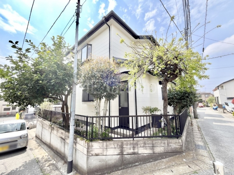 ���n�O�ώʐ^�@��Ƃ肪�Ί�𐶂ސS�n�悢���� 