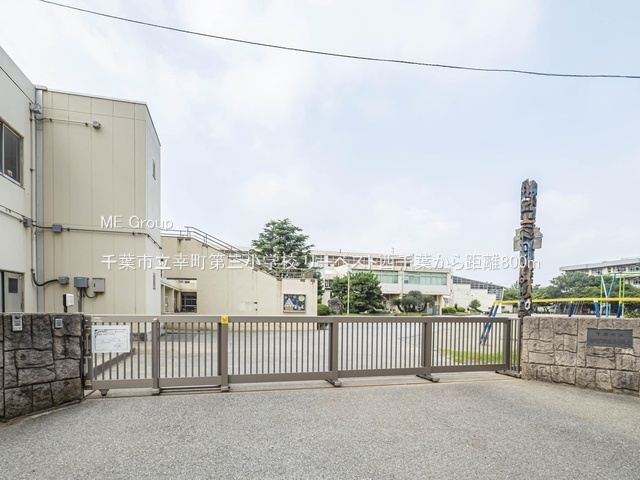 ���ӊ��@���w�Z 800m ��t�s���K����O���w�Z