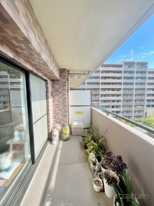 �o���R�j�[�@�S�n�悢���������Ȃ��炨���󕨂����������ł�