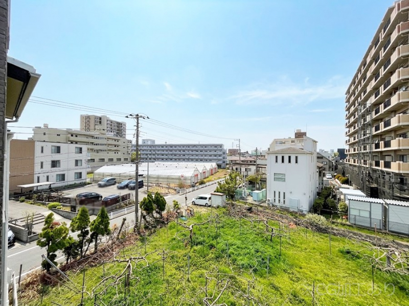 ���̑��@�o���R�j�[����̒��]�ł�