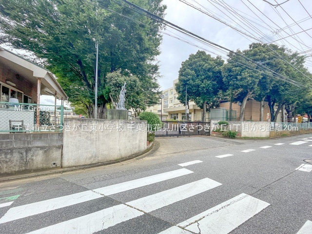 ���ӊ��@���w�Z 20m ��t�s���������u�����w�Z