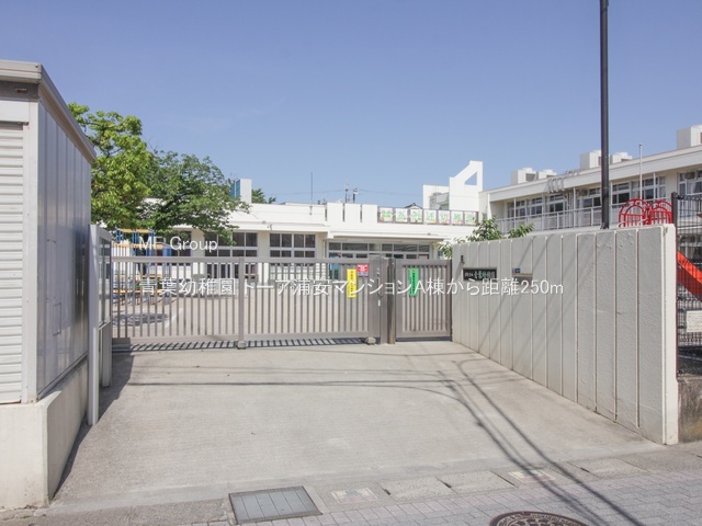 ���ӊ��@�c�t���E�ۈ牀 250m �t�c�t��