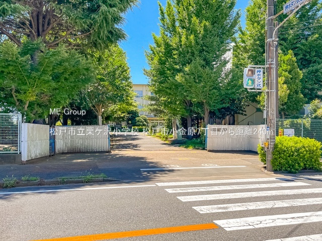 ���ӊ��@���w�Z 240m ���ˎs���I�P�򏬊w�Z