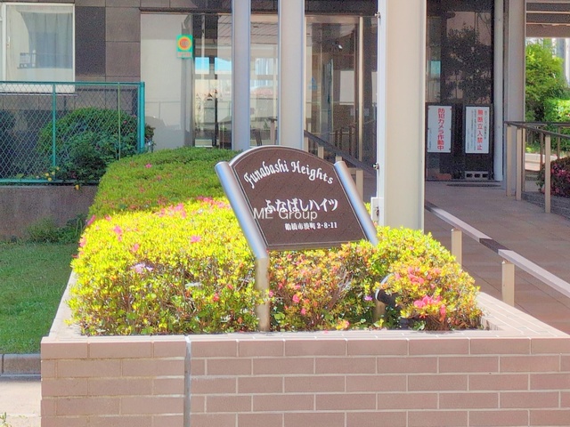 �G���g�����X�@-