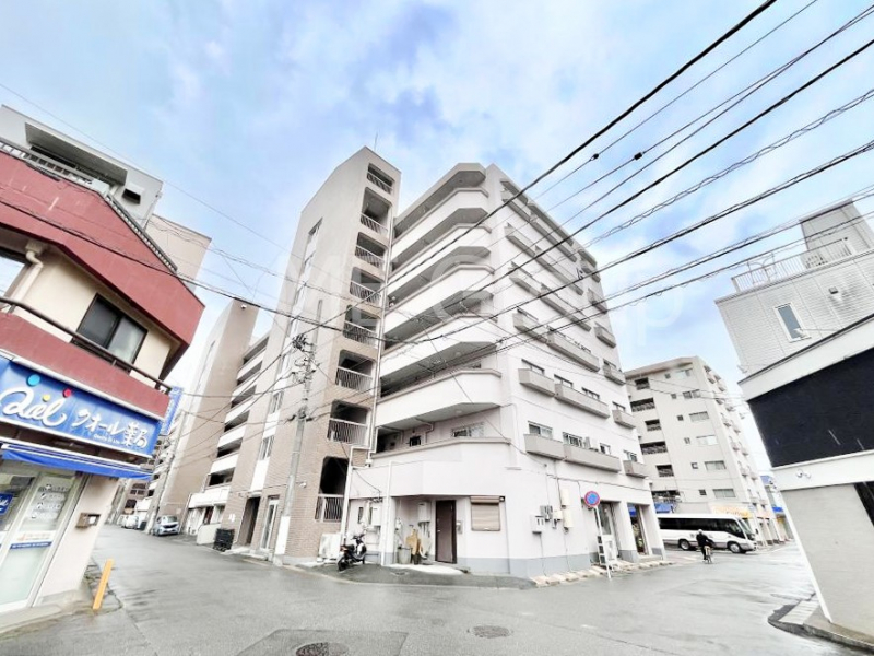 ���n�O�ώʐ^�@�����ɕ֗��Ȓn�ɐL�т₩�ȉƑ��̐������i��`���Z�܂�