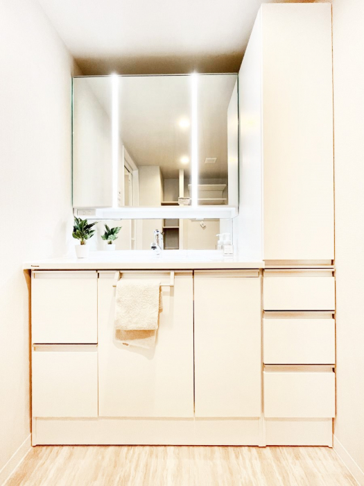 ���ʑ�E���ʏ��@���[�͂Ƌ@�\���ɗD�ꂽ���ʉ��ϑ�  