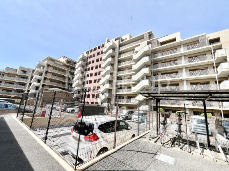 ���n�O�ώʐ^�@����z���ł��Ƒ��̏Ί���P�� 