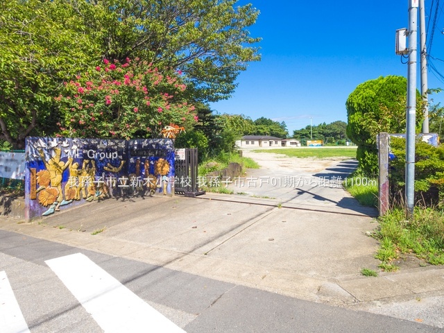 ���ӊ��@���w�Z 1100m �䑷�q�s���V�؏��w�Z