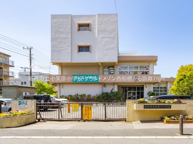 ���ӊ��@���w�Z 710m �D���s�����I�����w�Z