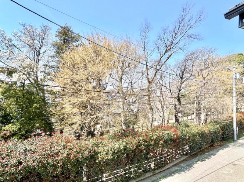 ���̑��@���Z�܂�����̒��]�ł��B